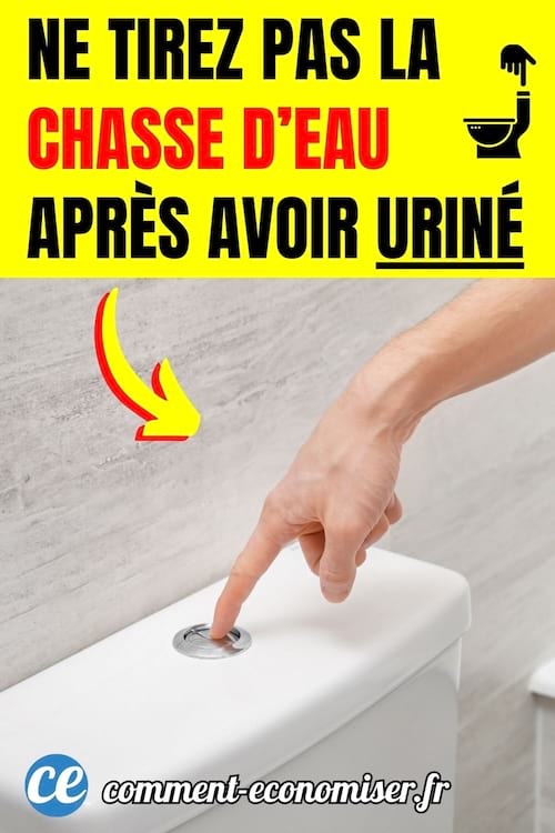une personne appuie sur le bouton de la chasse d'eau d'un wc