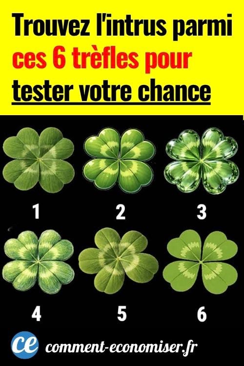 Six tr&egrave;fles &agrave; quatre feuilles num&eacute;rot&eacute;s de 1 &agrave; 6 sur fond noir, avec des styles visuels diff&eacute;rents.