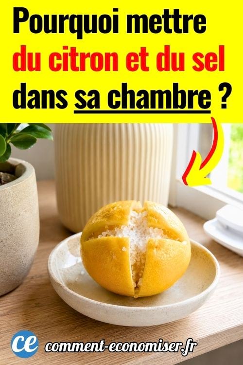 Citron entaill&eacute; rempli de gros sel pos&eacute; dans une coupelle pr&egrave;s d&rsquo;une fen&ecirc;tre