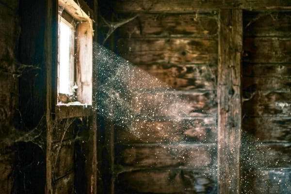 Close up of tiny dust particles dancing in a bright beam of sunlight inside an old, dark wooden shed