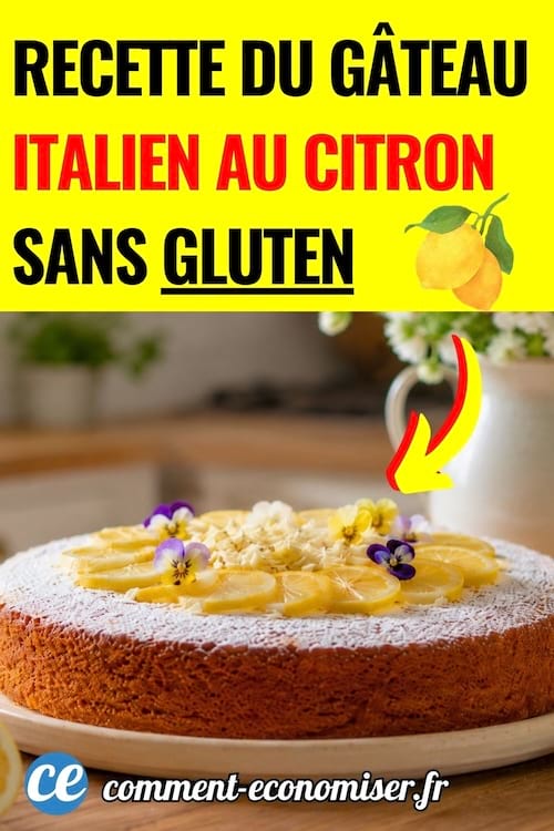 gateau au citron sans farine sans gluten