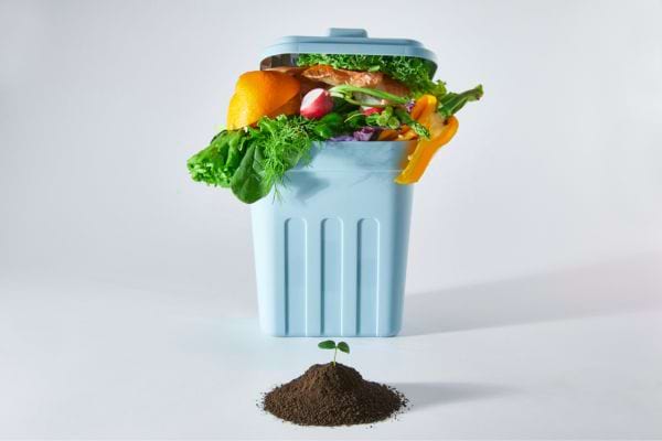 une poubelle de compost