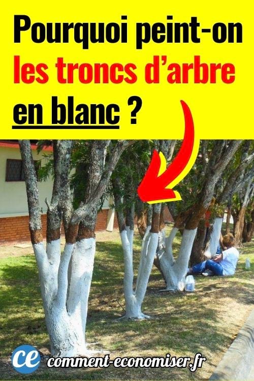 Arbres avec troncs peints en blanc dans un jardin, personne assise au sol en train de peindre