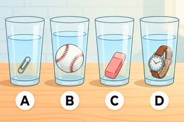 4 verres d'eau cote à cote avec des trucs dedans