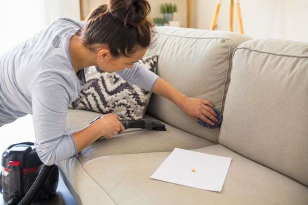 Femme inspectant un canap&eacute; avec un aspirateur &agrave; main.