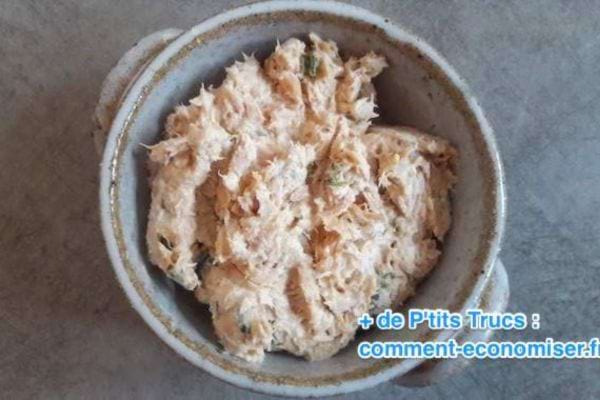 Rillettes de poisson maison en bol, tartinade facile pour l’apéritif l'été