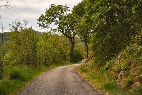 'une petite route de campagne sinueuse en Ard&egrave;che, bord&eacute;e d'arbres verts