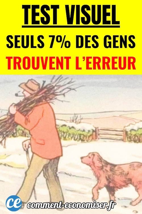 test visuel d'un homme et de son chien dans un paysage enneigé