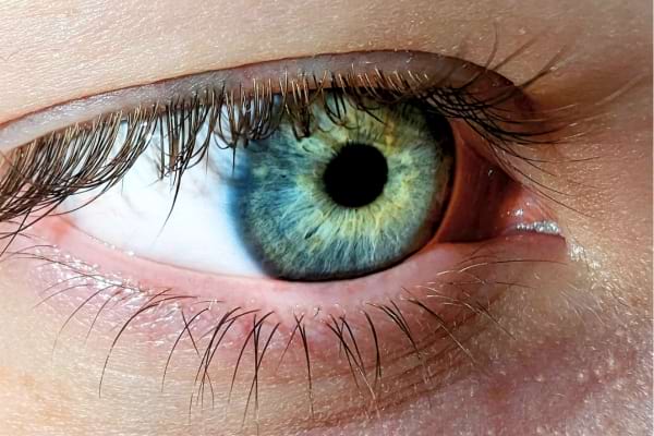 Un oeil à l'iris verte