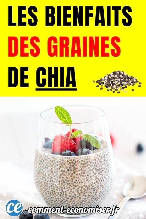 un verre de lait avec des graines de chia et des fruits
