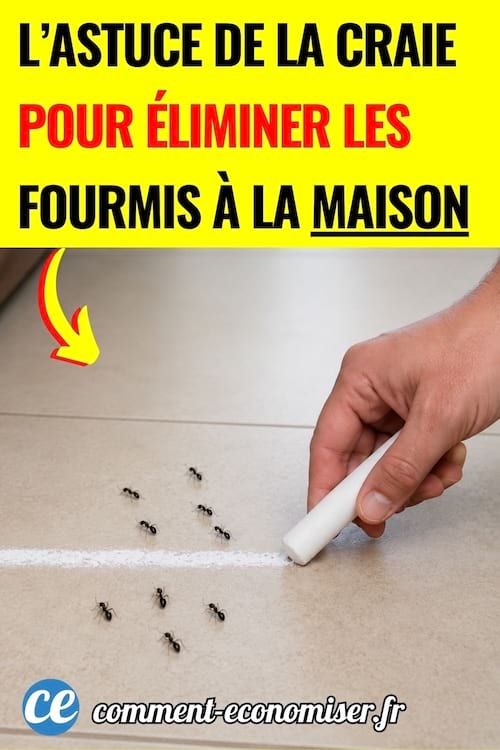 des fourmis qui fuient devant un trait de craie tracé au sol