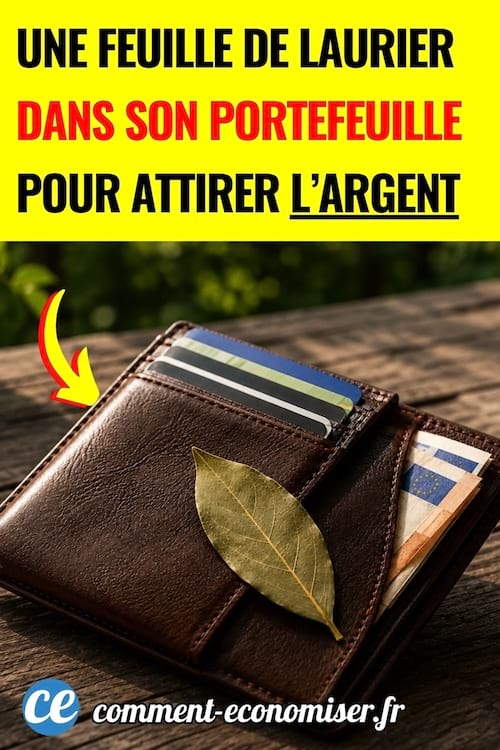 une feuille de laurier dans un porte-feuille