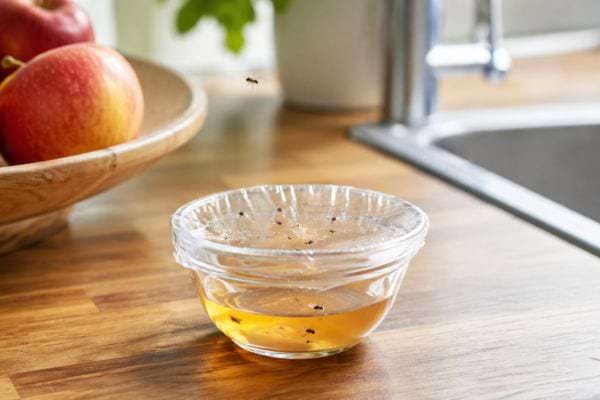 Piège maison au vinaigre de cidre pour attraper les moucherons dans la cuisine