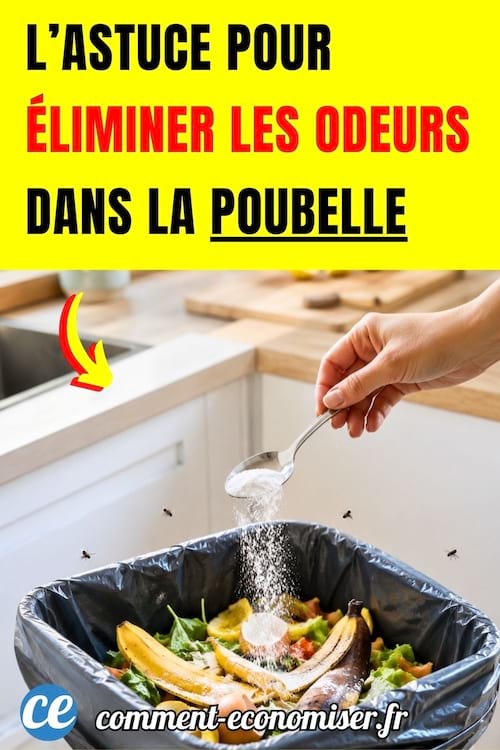 une personne met du bicarbonate dans une poubelle pleine de d&eacute;chets avec des mouches autour
