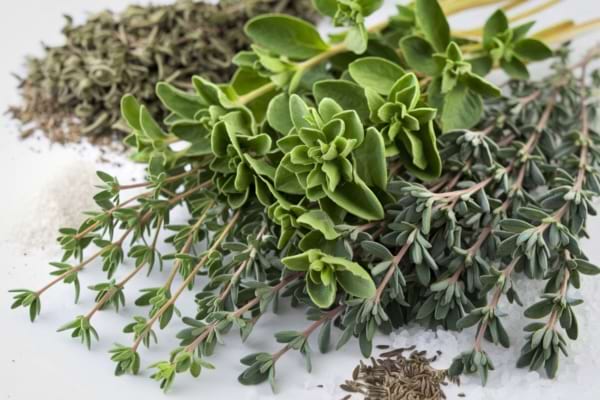 des brins de thym et d'origan sur fond blanc