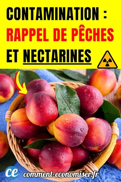 une corbeille de nectarines humides