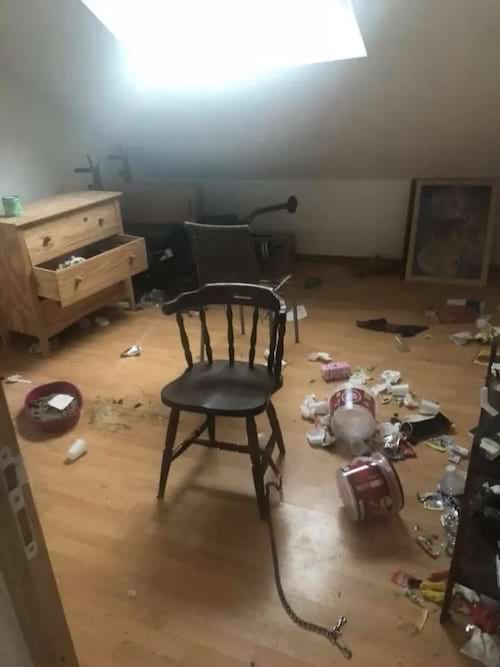 une pièce en désordre avec plein de saletés et de déchets