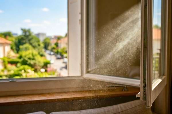 Particules de poussi&egrave;re et de pollen volant de mani&egrave;re visible