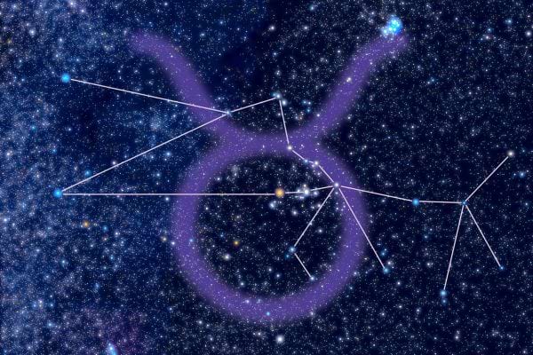 signe du zodiaque et constellation du taureau sur fond bleu &eacute;toil&eacute;