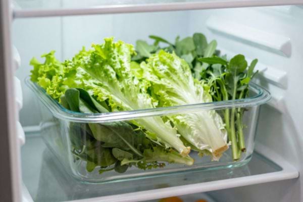 diff&eacute;rentes vari&eacute;t&eacute;s de salade dans une bo&icirc;te en verre au frigo