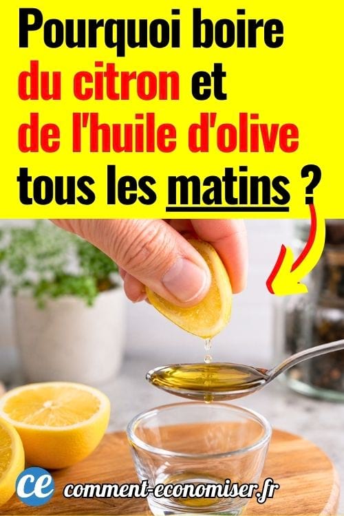 Boisson citron huile d&rsquo;olive du matin pour soutenir le foie et la digestion