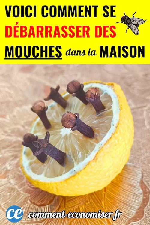 Demi-citron piqué de clous de girofle pour éloigner naturellement les mouches de la cuisine.