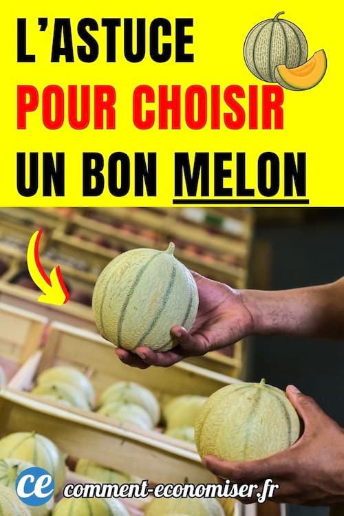 un homme en train de choisir un bon melon