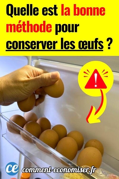 Main rangeant des &oelig;ufs dans le compartiment de porte du r&eacute;frig&eacute;rateur
