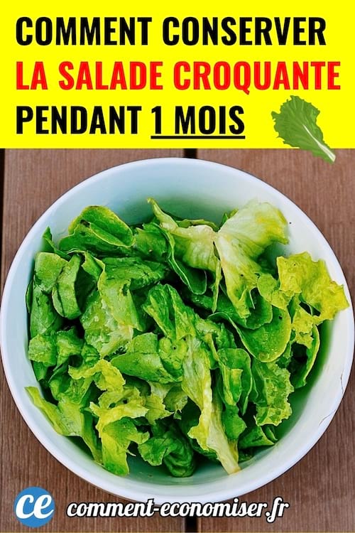 une assiette creuse remplie de salade vert croquante