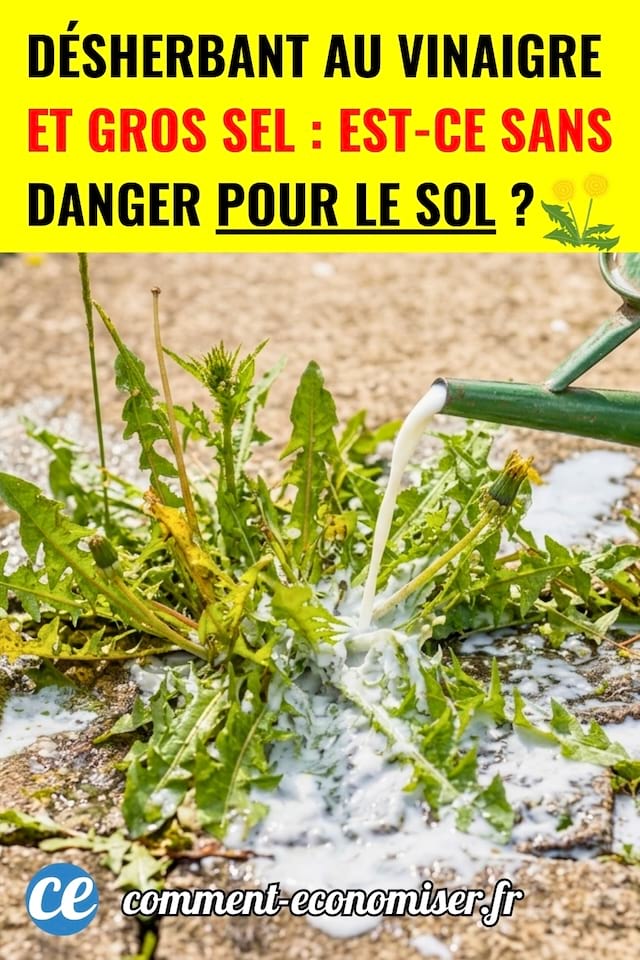 Un arrosoir qui verse un mélange de vinaigre et gros sel qui peut être dangereux pour les sols