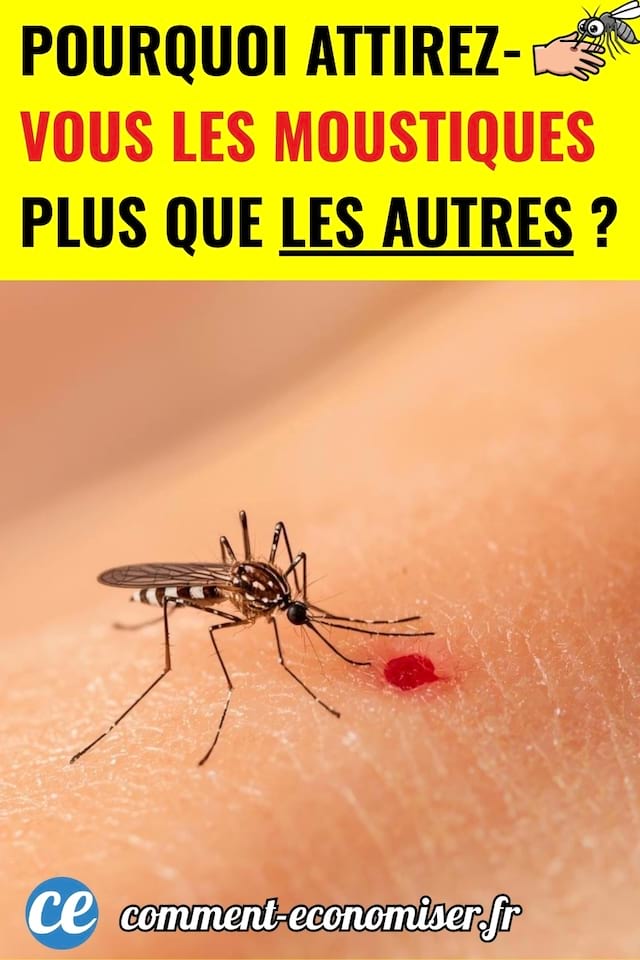 Un moustique qui pique la peau