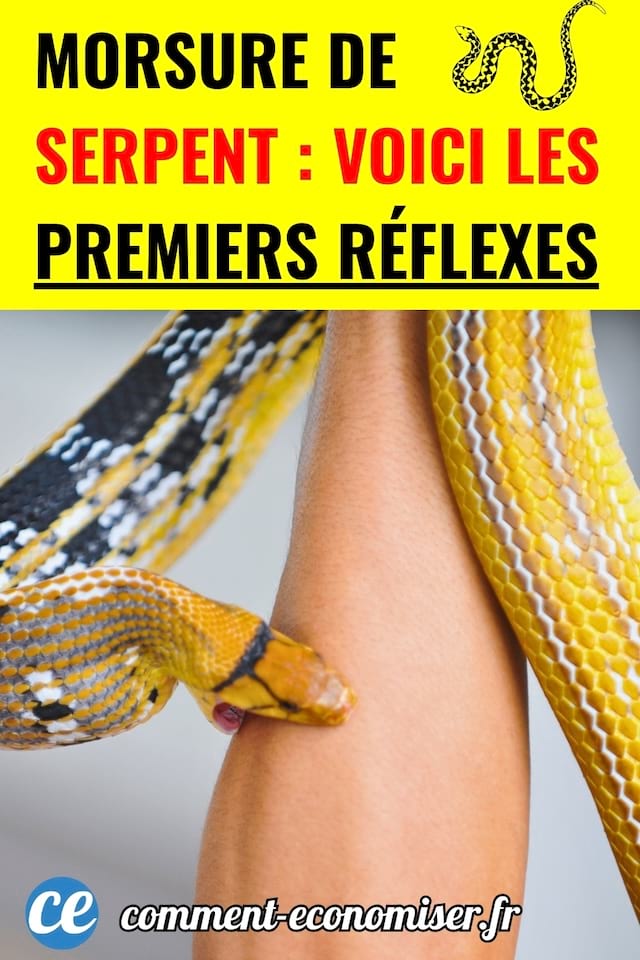 Un serpent qui mort un bras
