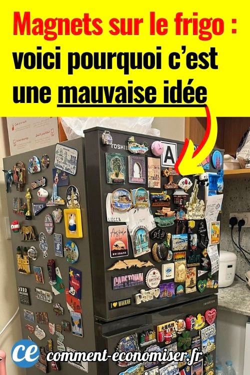 Réfrigérateur couvert de nombreux magnets souvenirs dans une cuisine encombrée