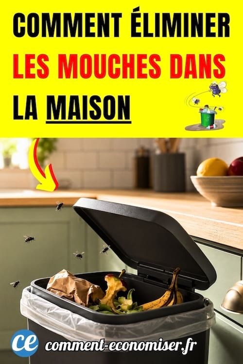 astuce pour éliminer les mouches dans la maison attirées par la poubelle