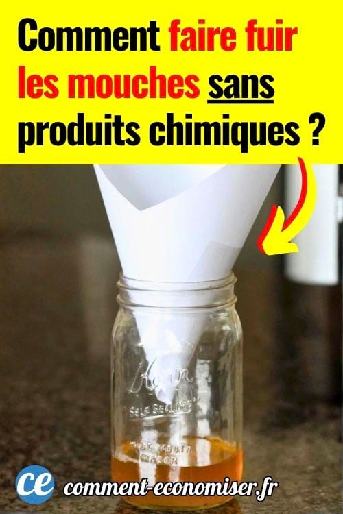 Piège à moucherons fait maison avec vinaigre dans un bocal et entonnoir en papier