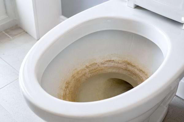 Fond de toilettes recouvert de dépôts de calcaire brun et jaunâtre.