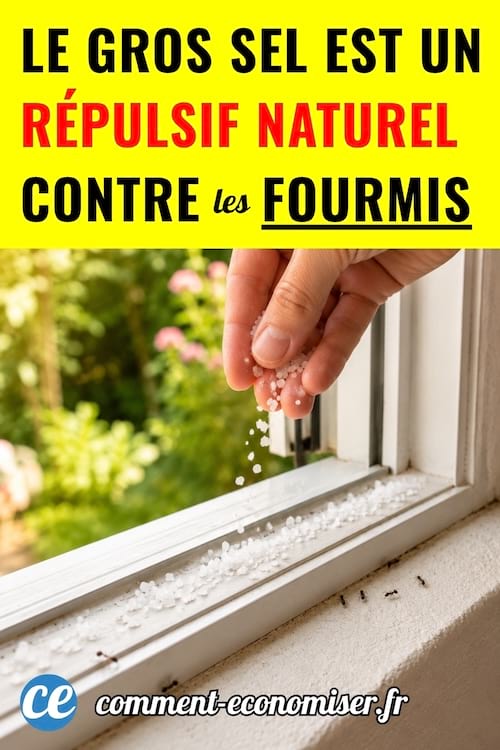 une main qui d&eacute;pose du gros sel sur le rebord de sa fen&ecirc;tre