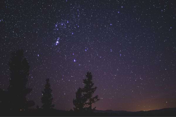 un ciel obscure parsemé d'étoiles lumineuses et des sapins en fond