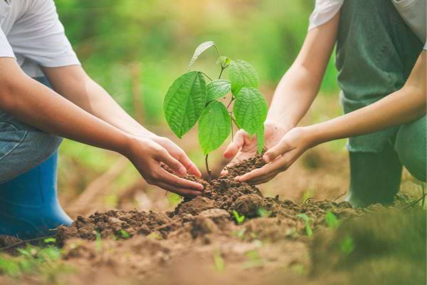 deux personnes accroupies plantent un arbre