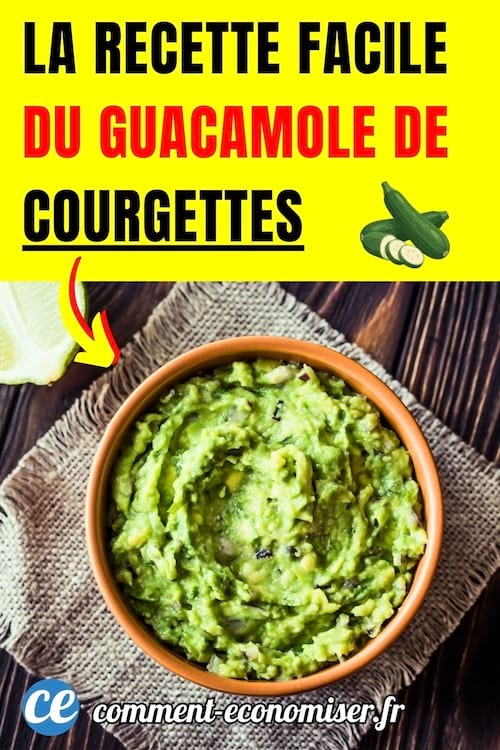 un guacamole fait avec des courgettes qui remplacent les avocats dans une terrine en terre