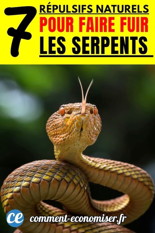 des répulsifs naturels pour faire fuir les serpents