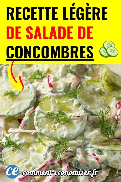une salade de concombre au yaourt avec de l'aneth et des oignons rouges