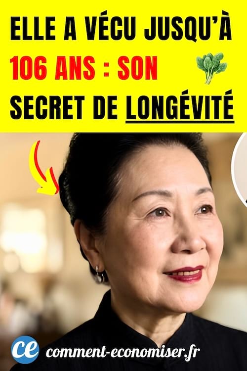 Le portrait de Soong Mei-ling qui a vécu jusqu’à 105 ans ou 106 ans