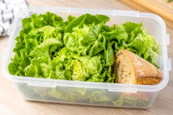 conservation de la salade verte dans une bo&icirc;te avec morceau de pain rassis