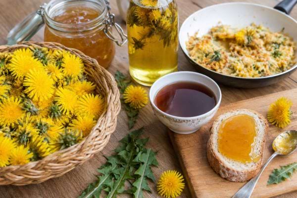 Fleurs de pissenlit, tisane et miel maison sur une table