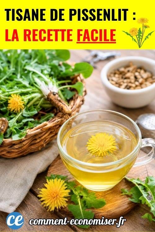 Tisane de pissenlit maison avec fleurs, feuilles et racines fraîches sur une table en bois