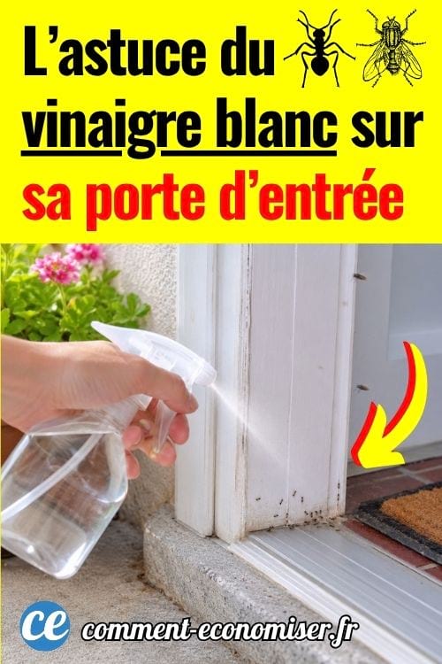 Main vaporisant du vinaigre blanc sur un seuil de porte contre les fourmis et les mouches