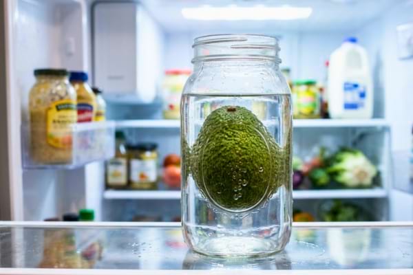un avocat entier plongé dans un grand bocal en verre rempli d'eau