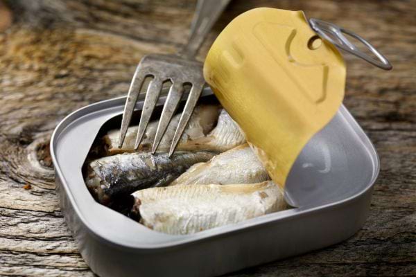 une boite de sardine au naturel ouverte avec un fourchette plantée dans une sardine