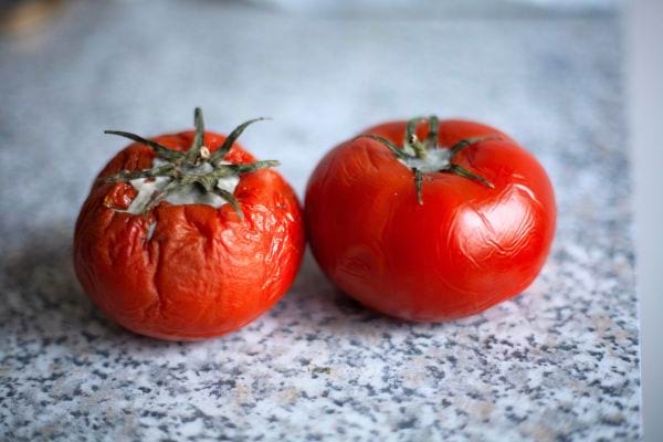 2 tomates très mûres dont une flétries